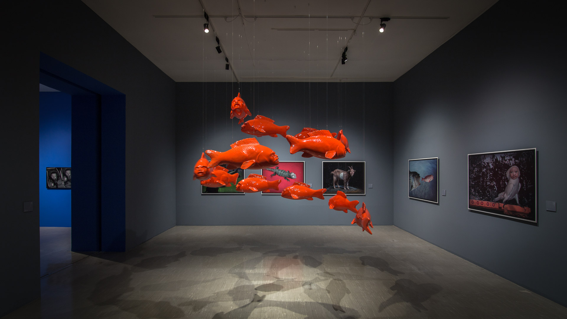 FIXER Photographic Studio